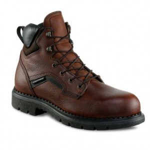 RedWing2226