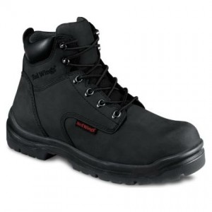 RedWing2234
