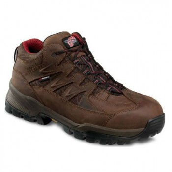 red wing 3310
