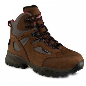 RedWing6785