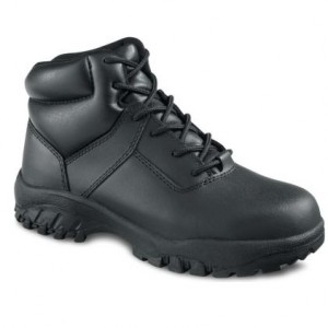 Worx6513